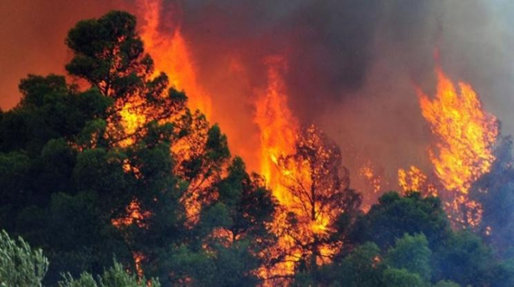 Πυρκαγιά ξέσπασε στο Κορωπί – Επιχειρούν 25 πυροσβέστες με 10 οχήματα